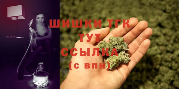 гидропоника Новозыбков
