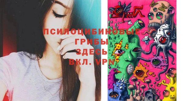 молекула духа Новокубанск
