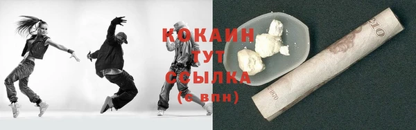 гидропоника Новозыбков