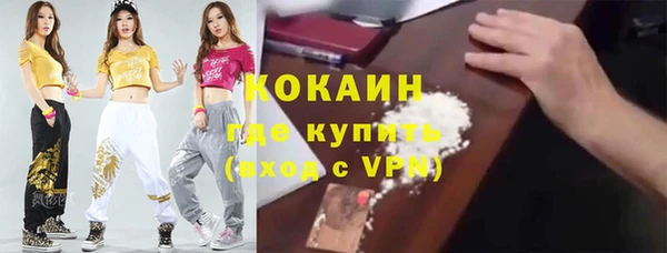 гидропоника Новозыбков