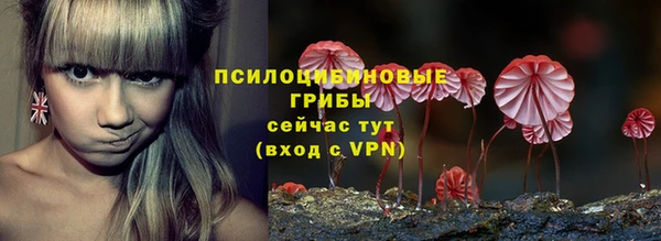гидропоника Новозыбков
