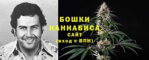 молекула духа Новокубанск