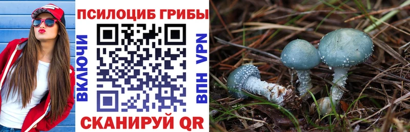 omg ССЫЛКА  Полярный  это какой сайт  где можно купить наркотик  Псилоцибиновые грибы мицелий 